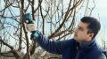 Bosch Pro Pruner Aküsüz Ağaç Budama Makinesi