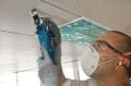 Bosch GOP 30-28 Metal Kesme Makinesi