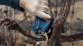 Bosch GGP 12V-25 Ağaç Budama Makinesi (Akü ve Şarj Cihazı Hariçtir)