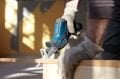 Bosch GSA 12V-14 Professional Akülü Panter Testere (Akü ve Şarj Cihazı Dahil Değil)